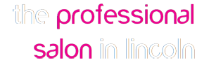 The Professional Salon in Lincoln